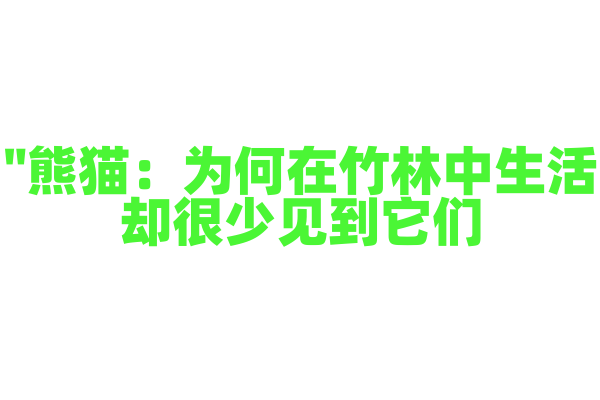 "熊猫：为何在竹林中生活却很少见到它们？"